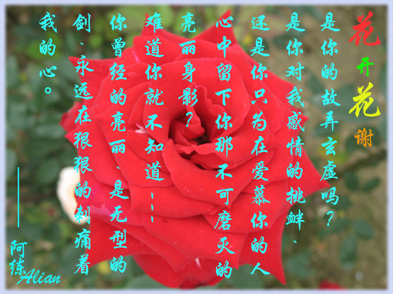IMG_0229副4本.jpg