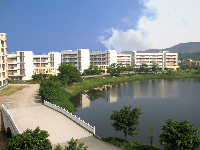 STA_13191.jpg