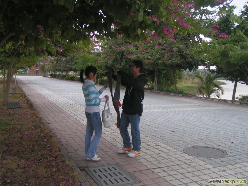 PICT0098.jpg
