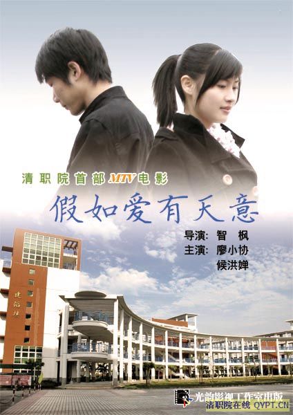 假如爱有天意海报.jpg