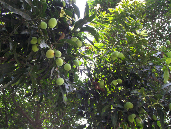 20110614231015829.jpg