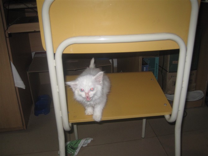 01.jpg