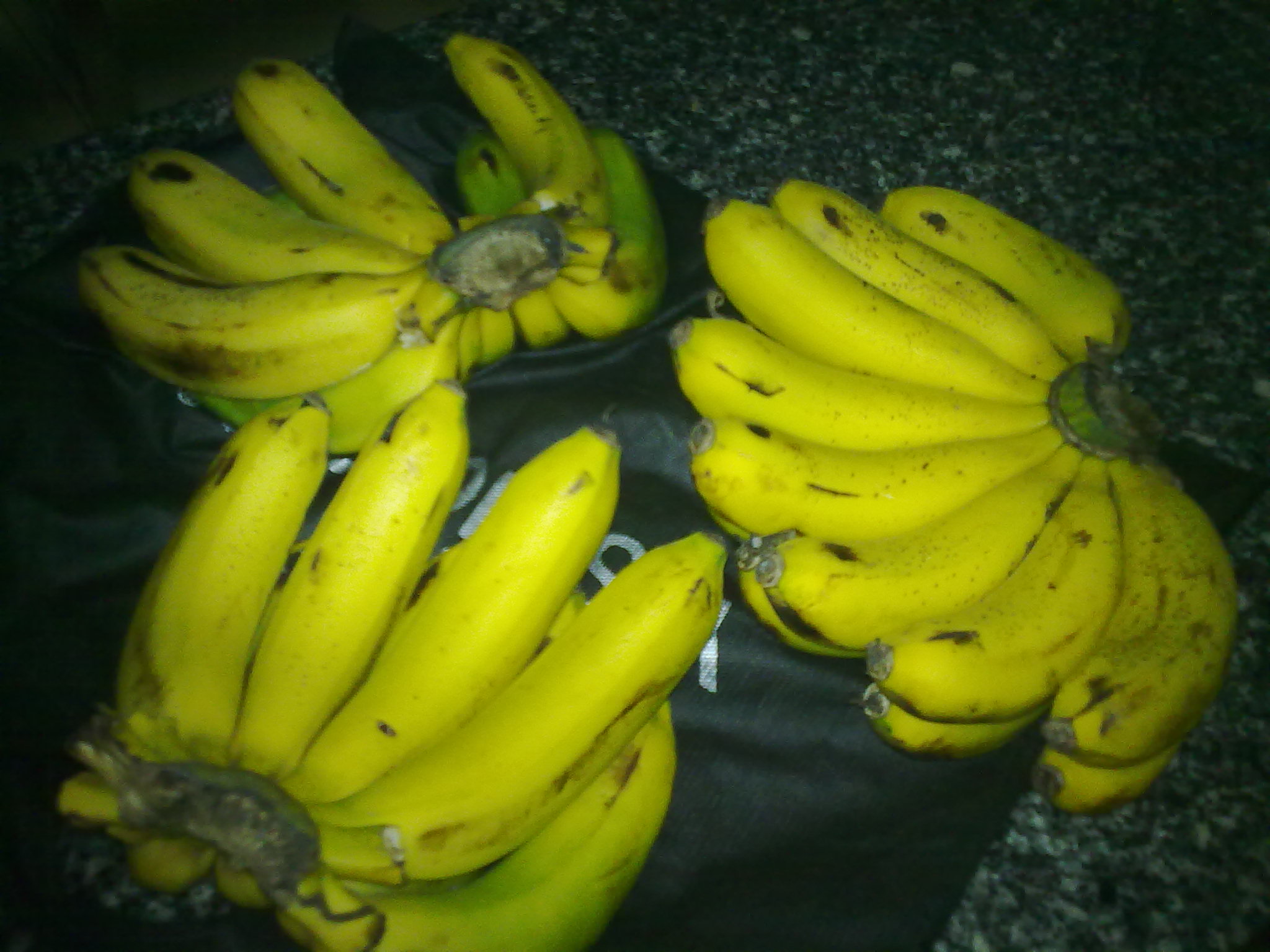 20110614473.jpg