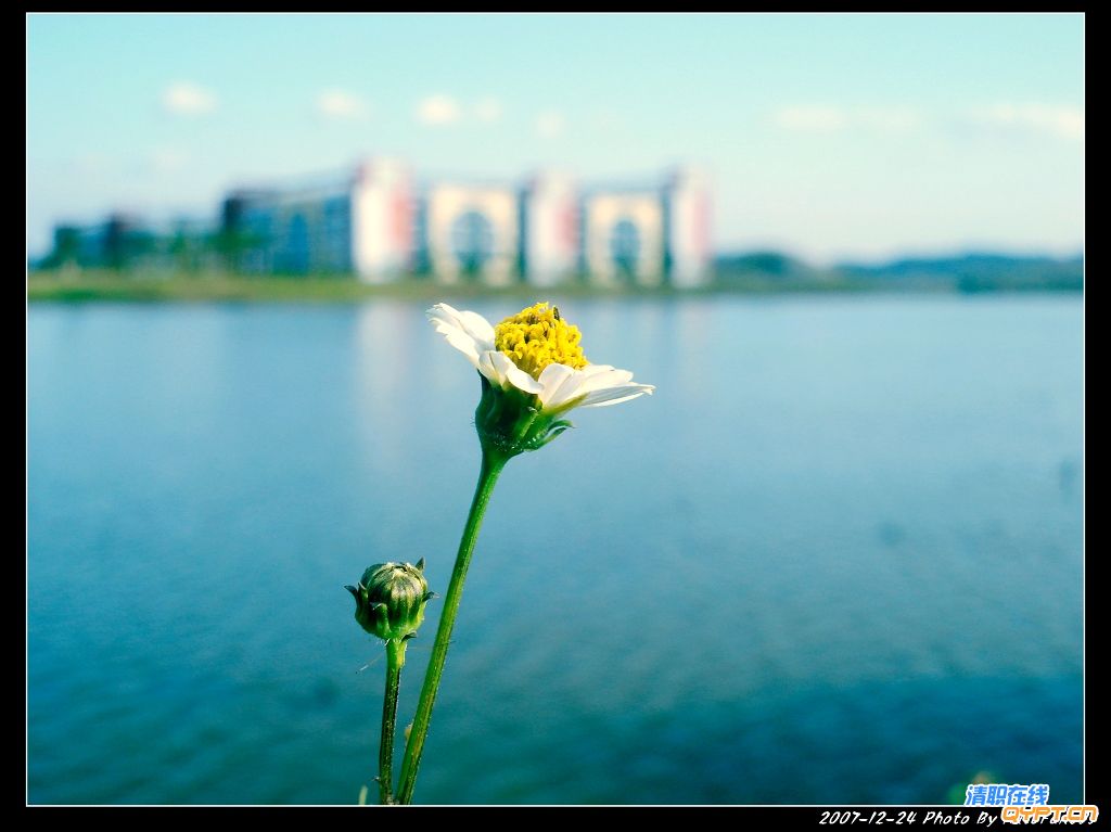 DSC03744.jpg