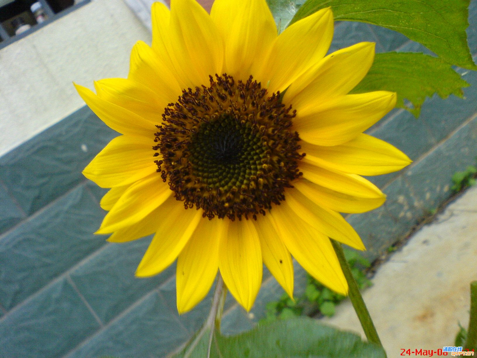 DSC00769.JPG