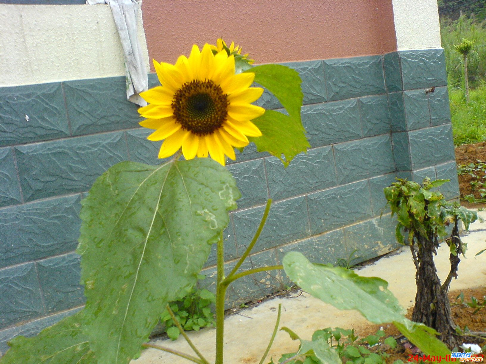 DSC00763.JPG