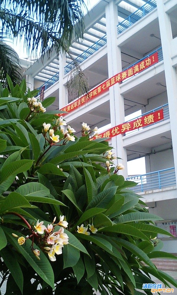 CA311669.jpg