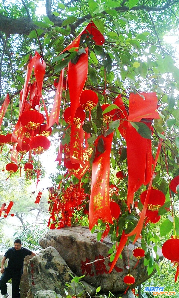CA311487.jpg