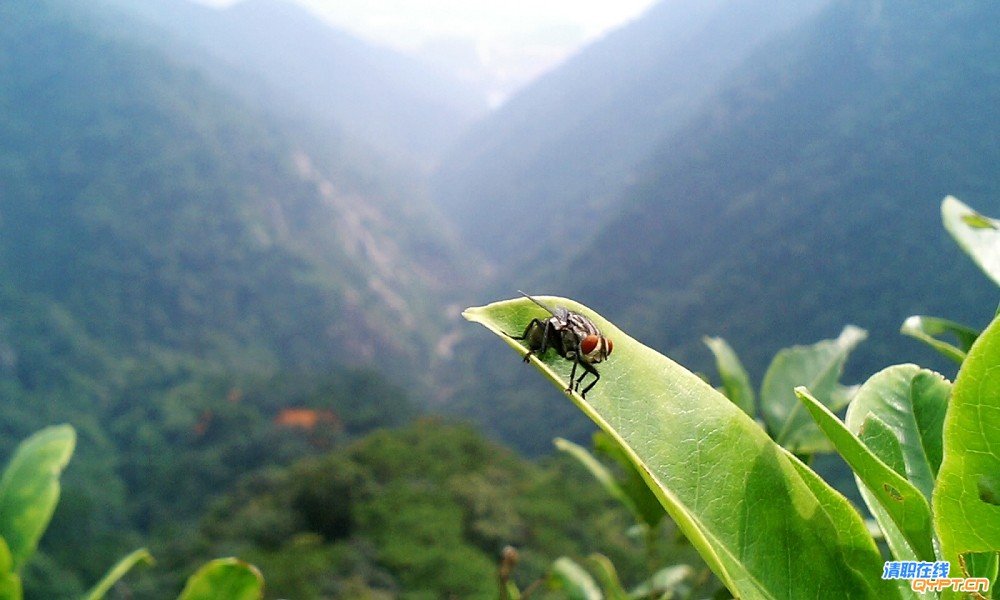 CA311589.jpg