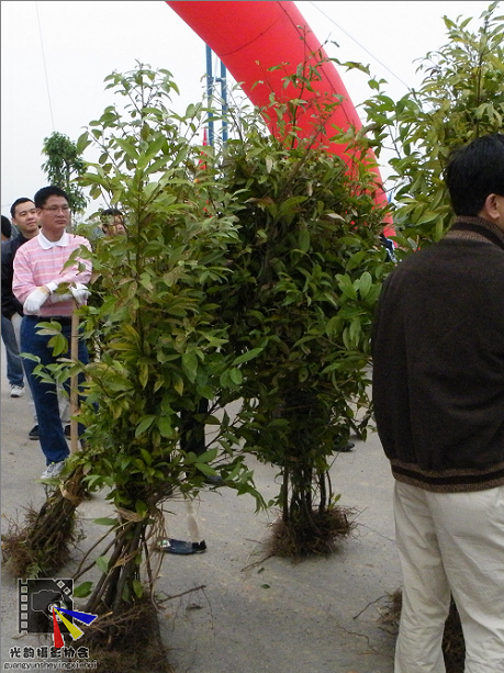 4.bmp