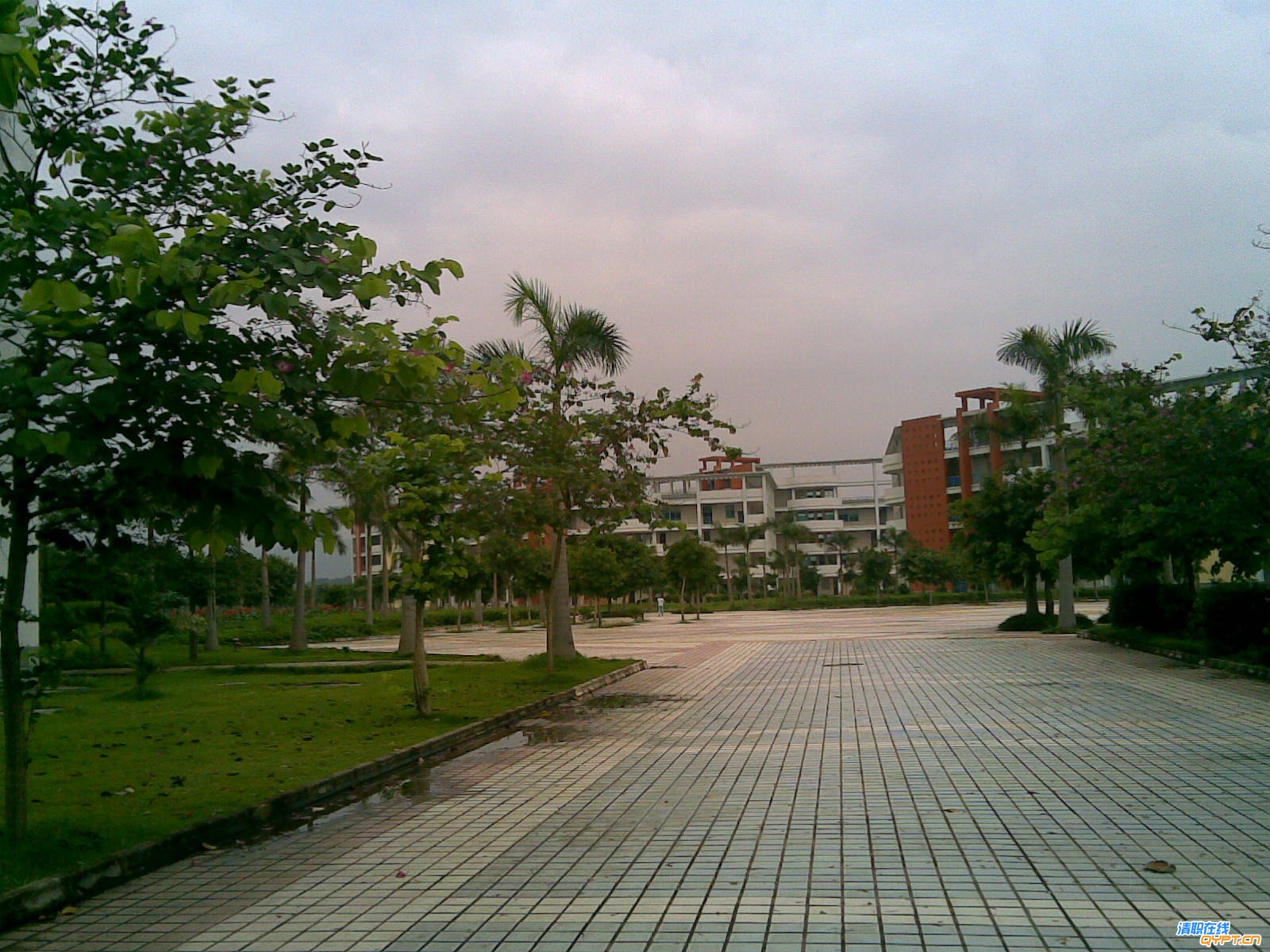 20080608(030).jpg