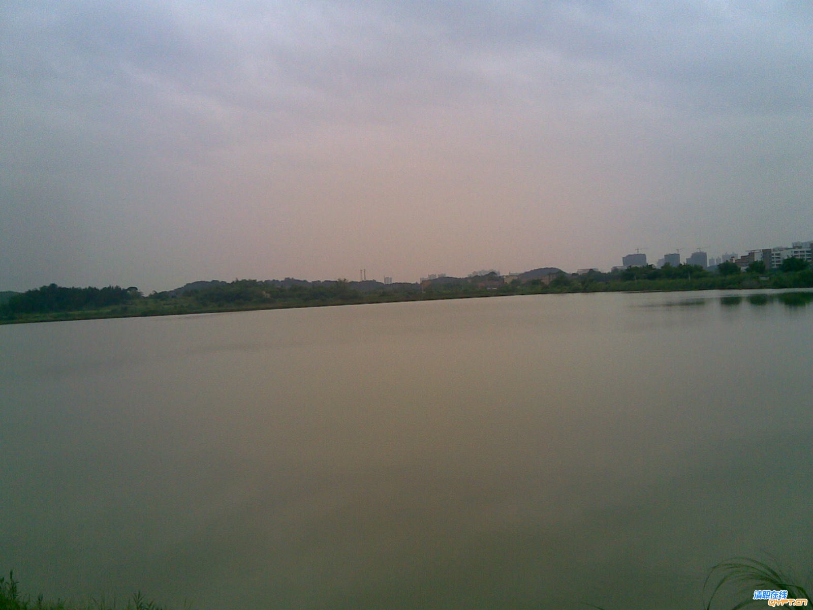 20080608(012).jpg