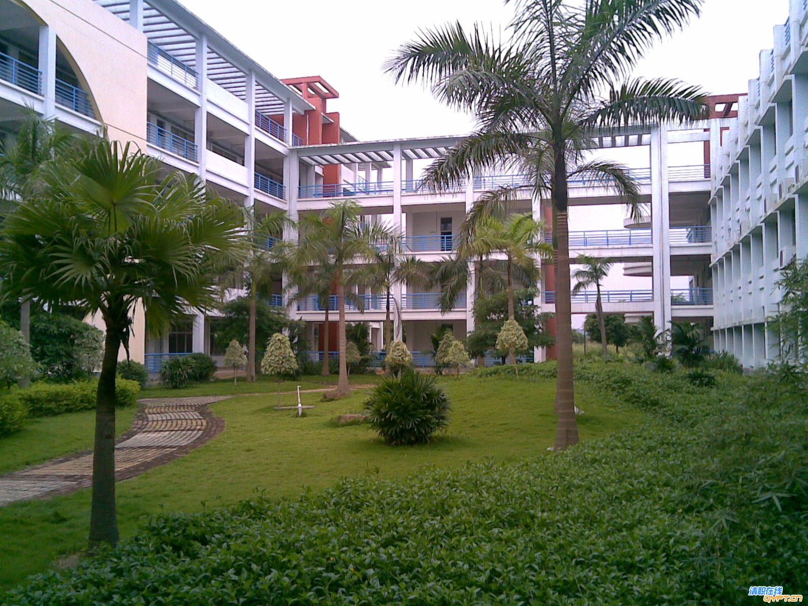 20080608(118).jpg