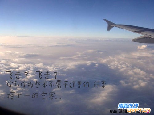 飞走了.jpg