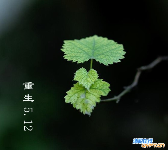 重获新生