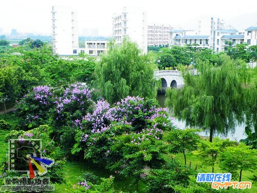 DSCF1216.JPG