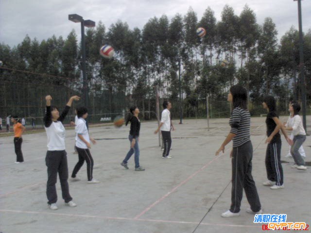 DSC00029.jpg