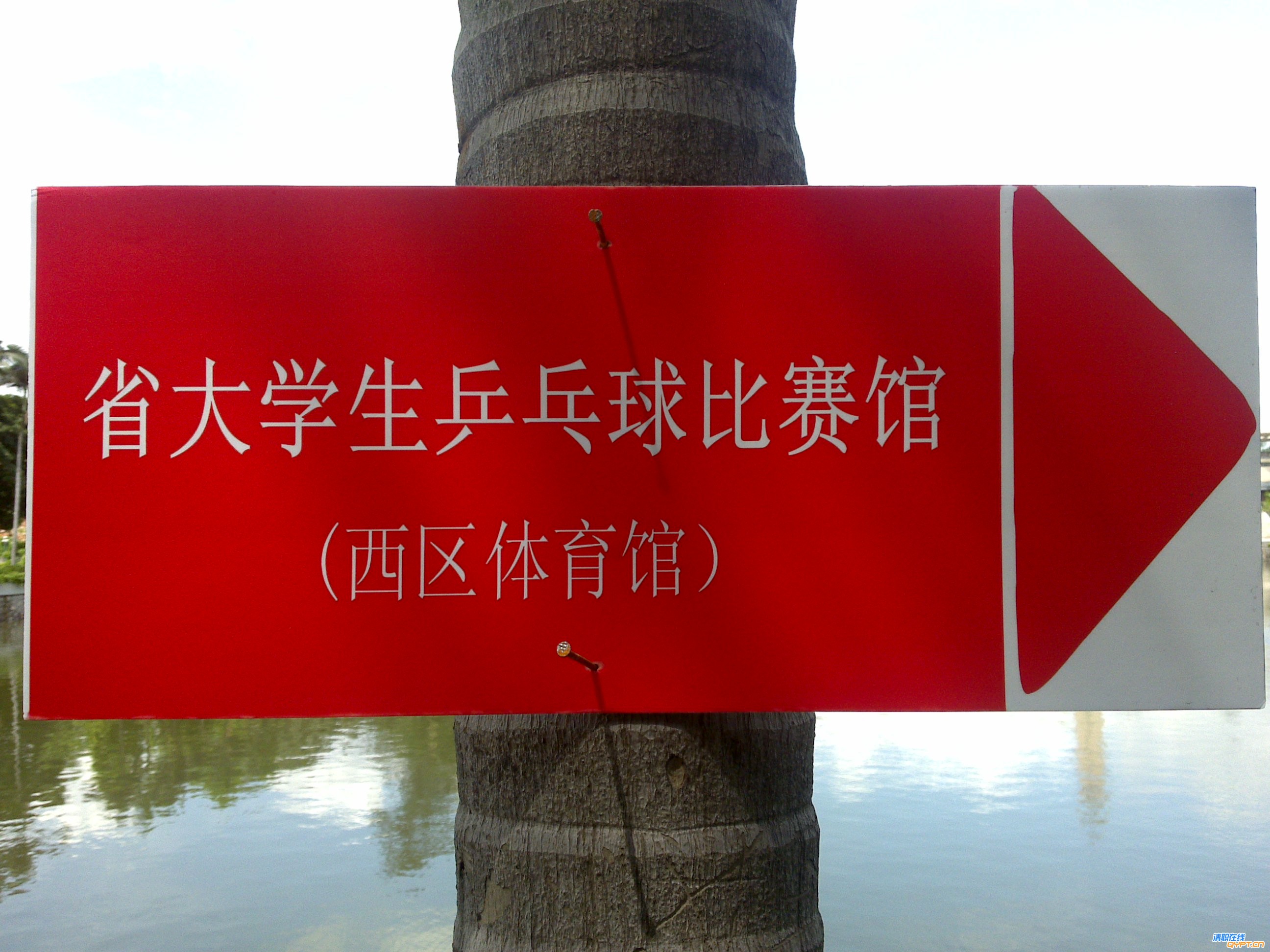 20090626119.jpg