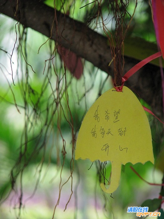祝我快乐.jpg