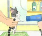 ciooo_com_263_1-143.gif