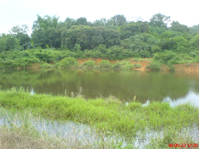 DSC01039.JPG