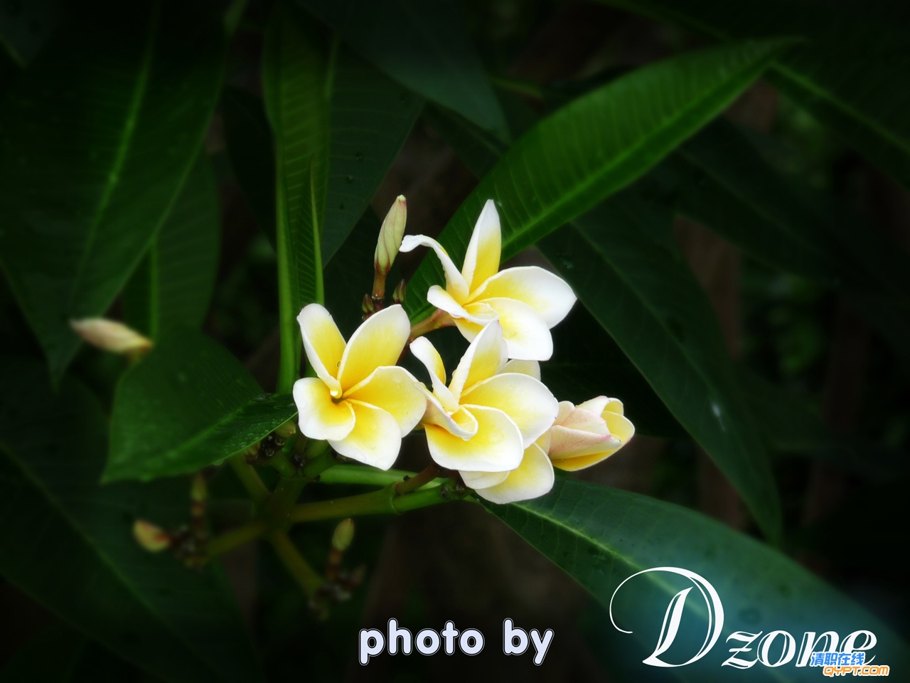 P1050200--副本.jpg