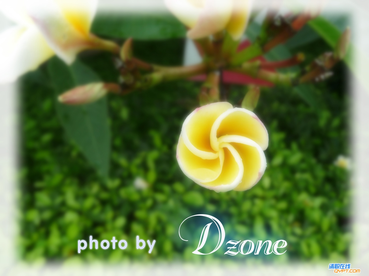 P1050221副本.jpg