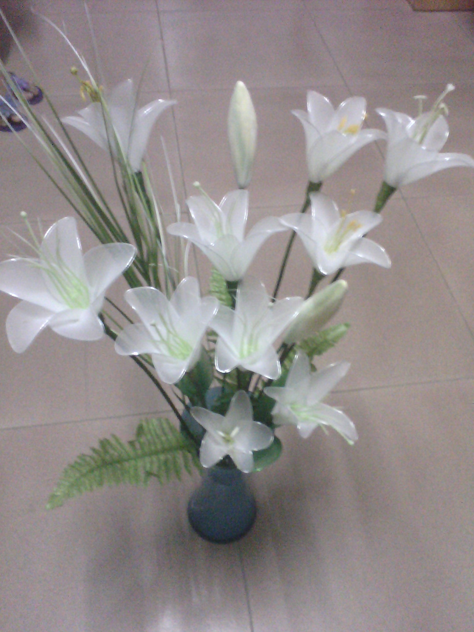 IMG0361A.jpg