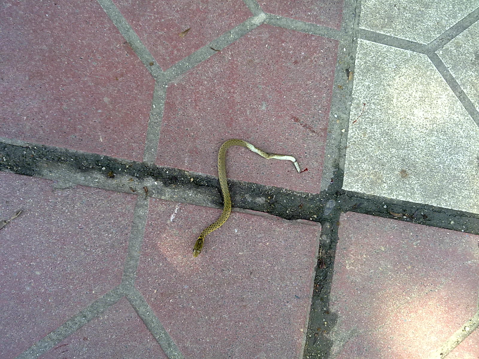 201006304755.jpg