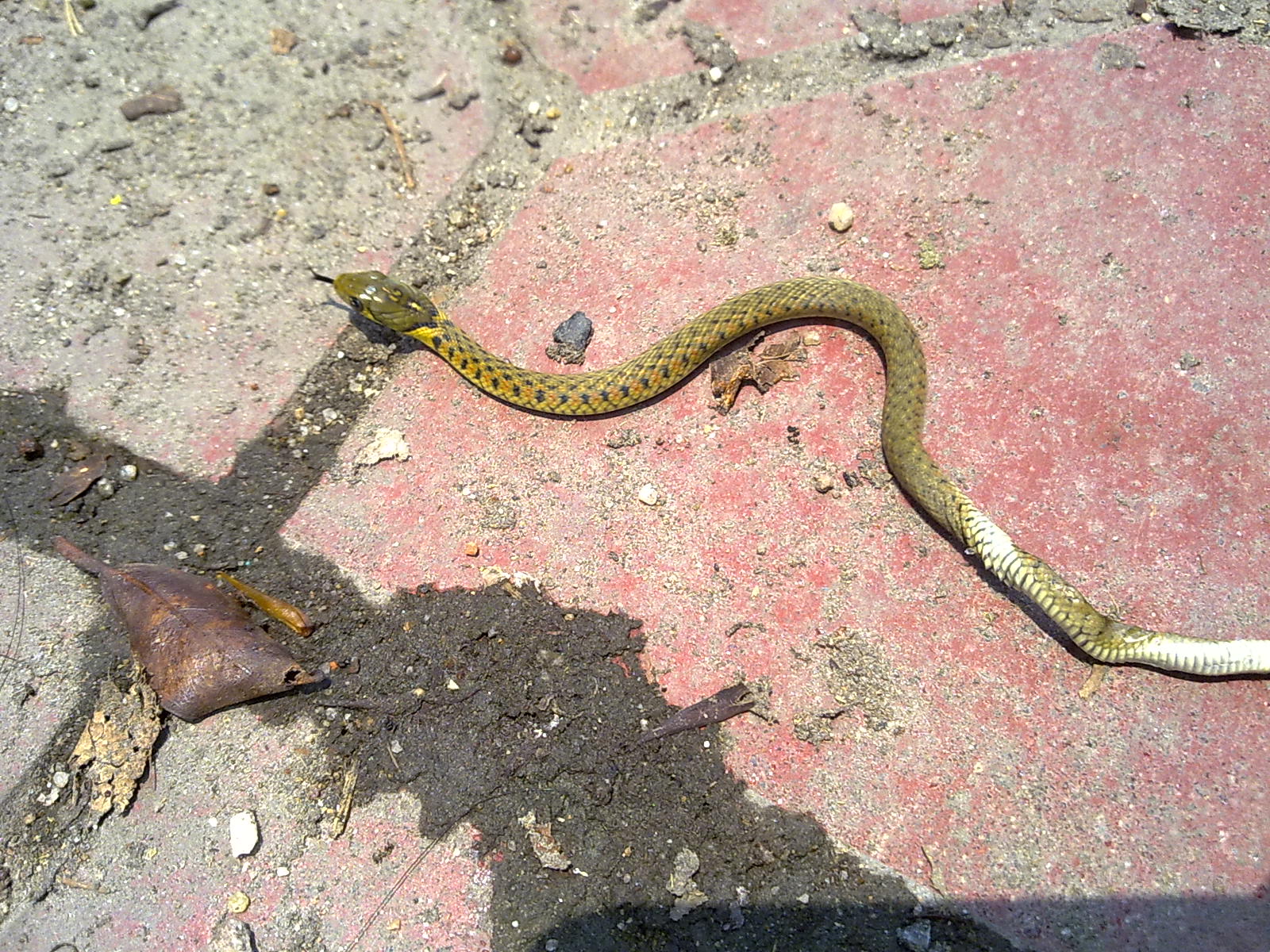 201006304757.jpg
