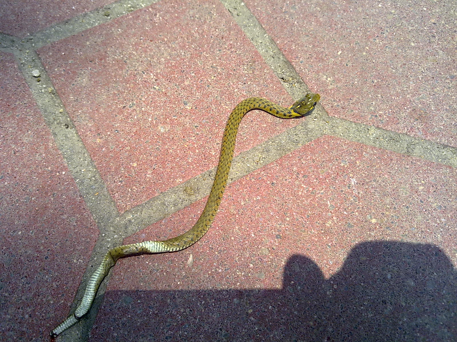 201006304756.jpg