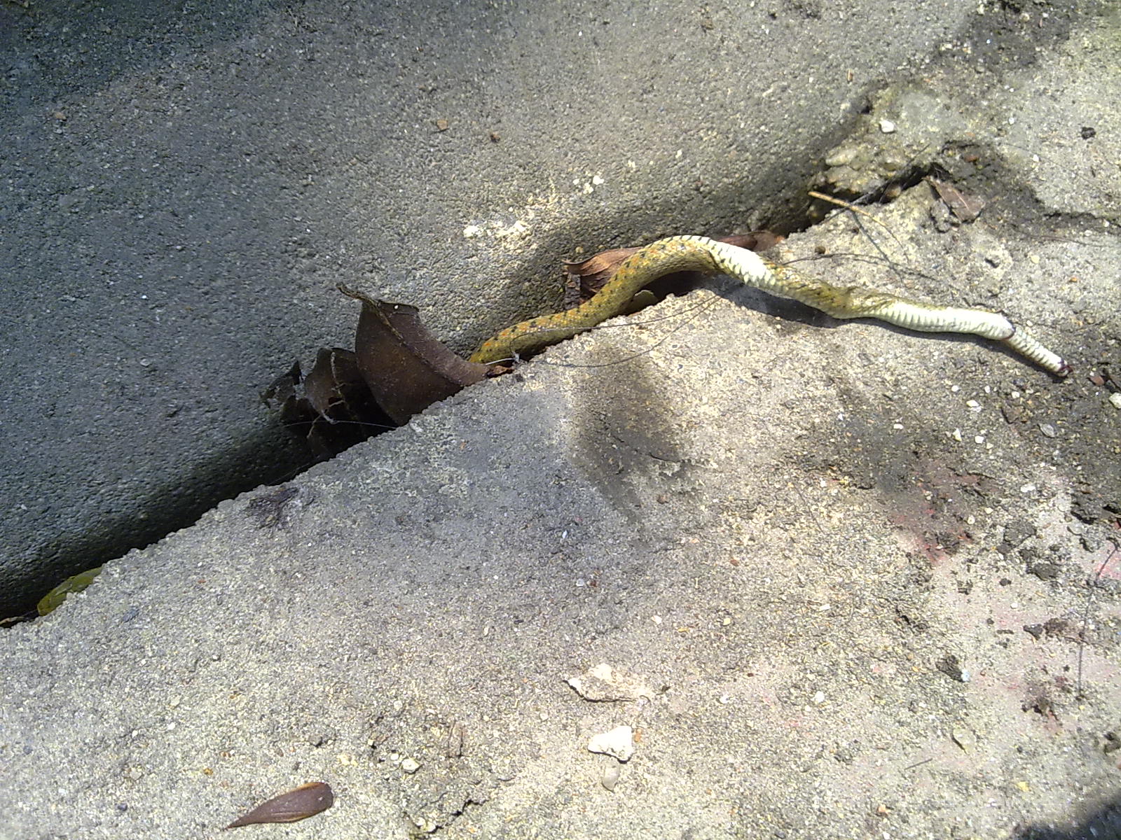 201006304758.jpg