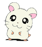 _1342198245361457213.gif