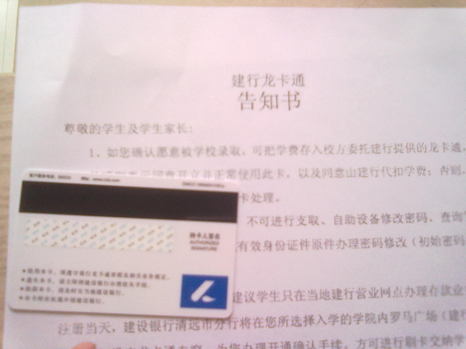 20100827047.jpg