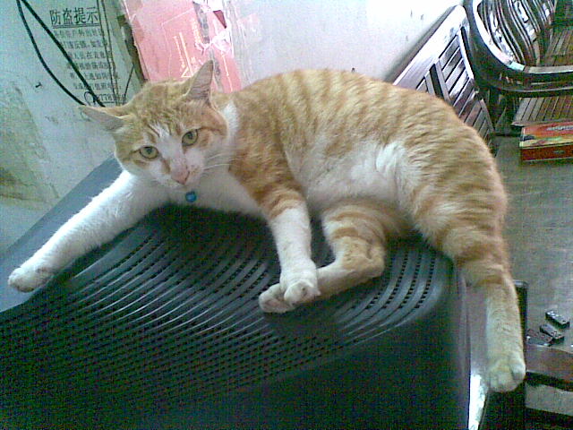 20100729.jpg