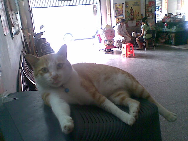 20100729_001.jpg
