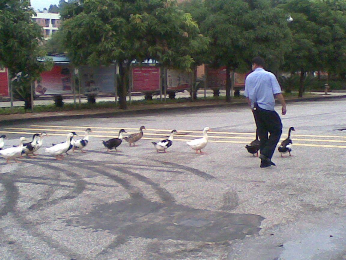 20100904(001).jpg
