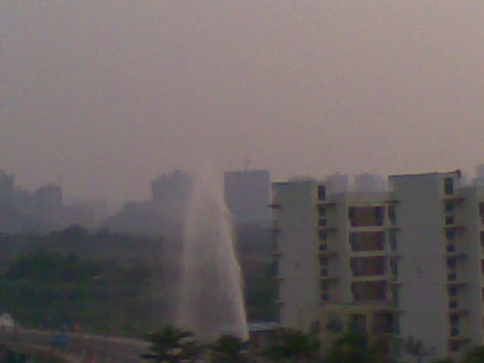 20100917_001.jpg