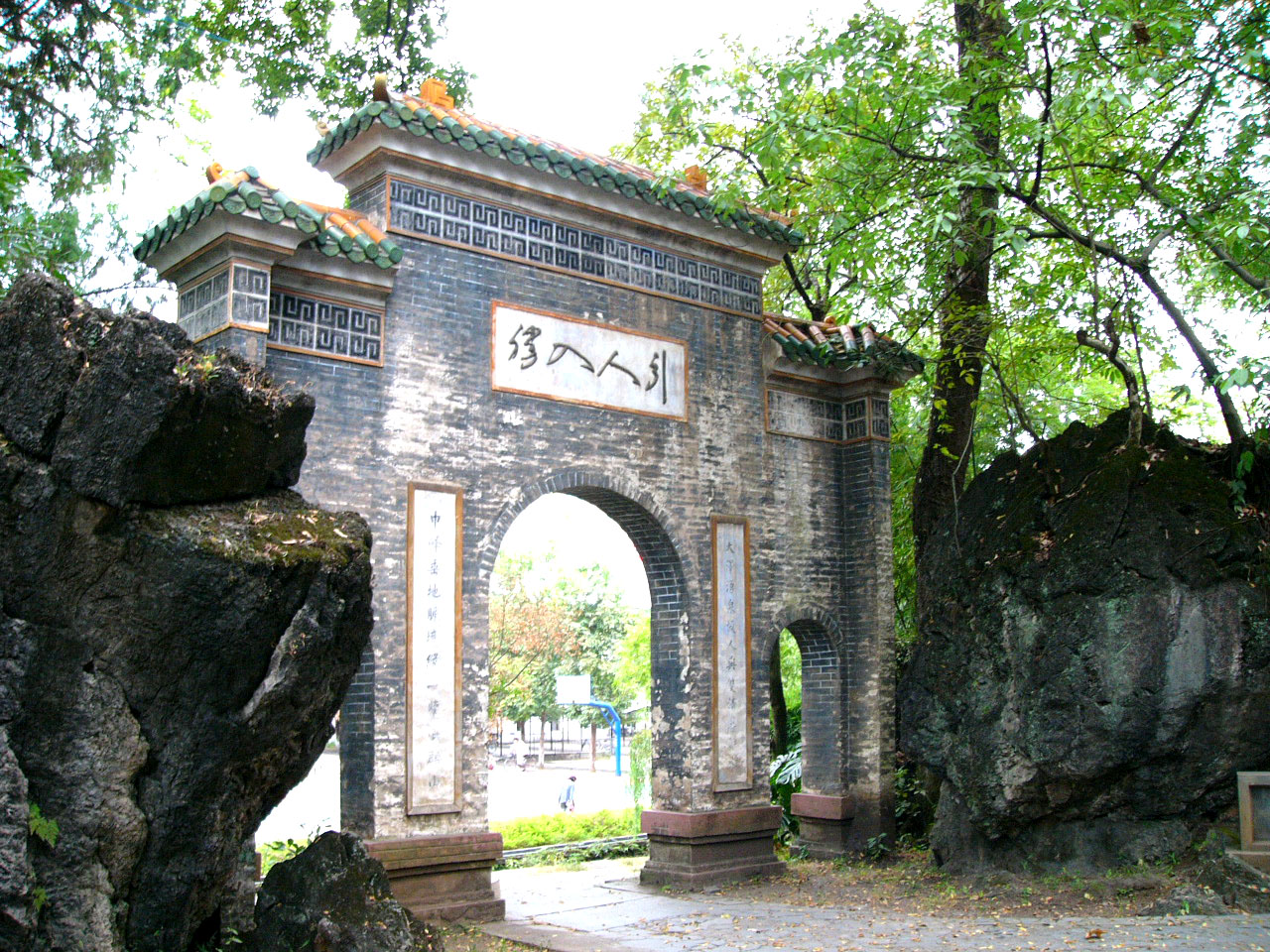 P1000425.jpg