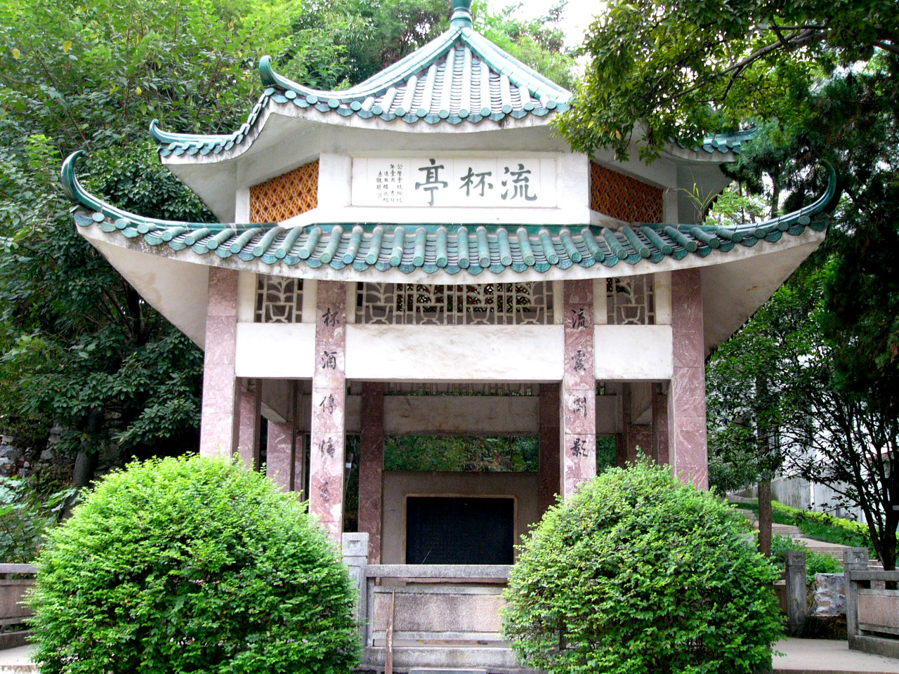 P1000435.jpg