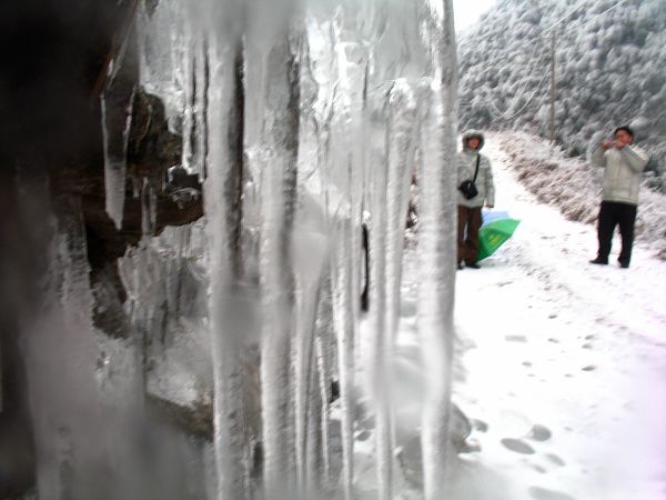 星子的雪.jpg
