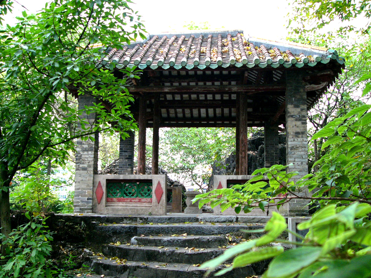 P1000442.jpg