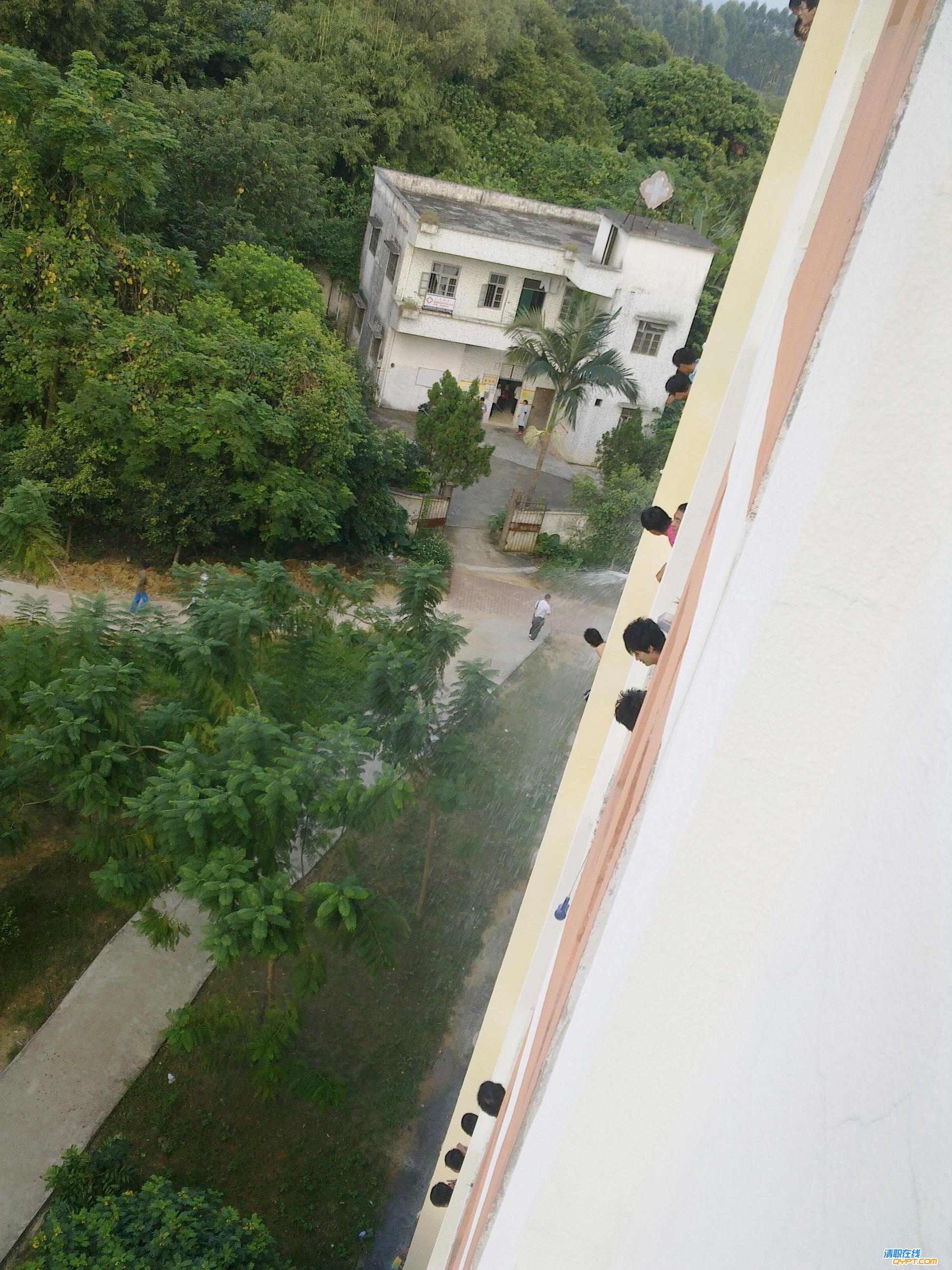 201010171661.JPG