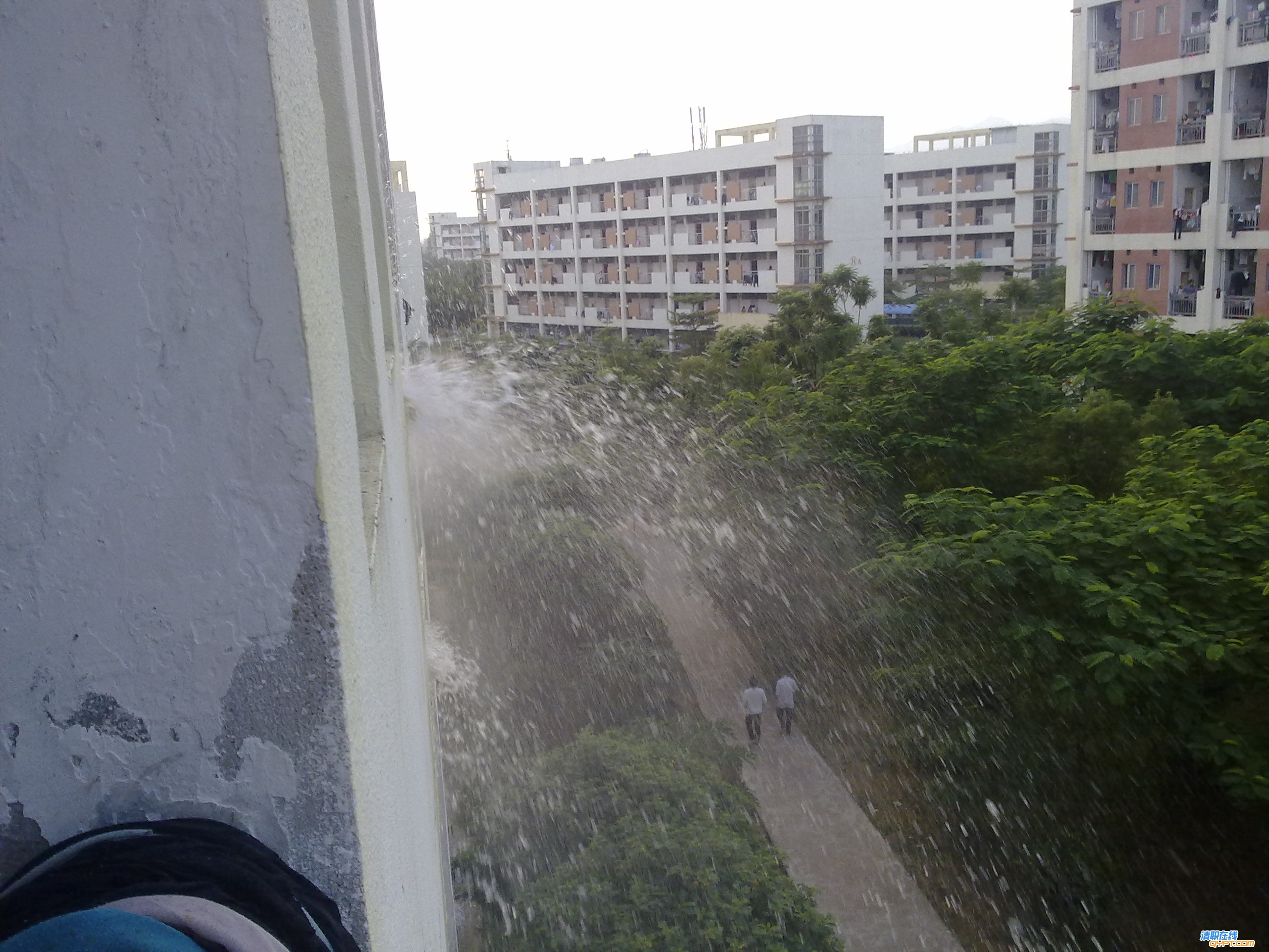 20101017045.jpg
