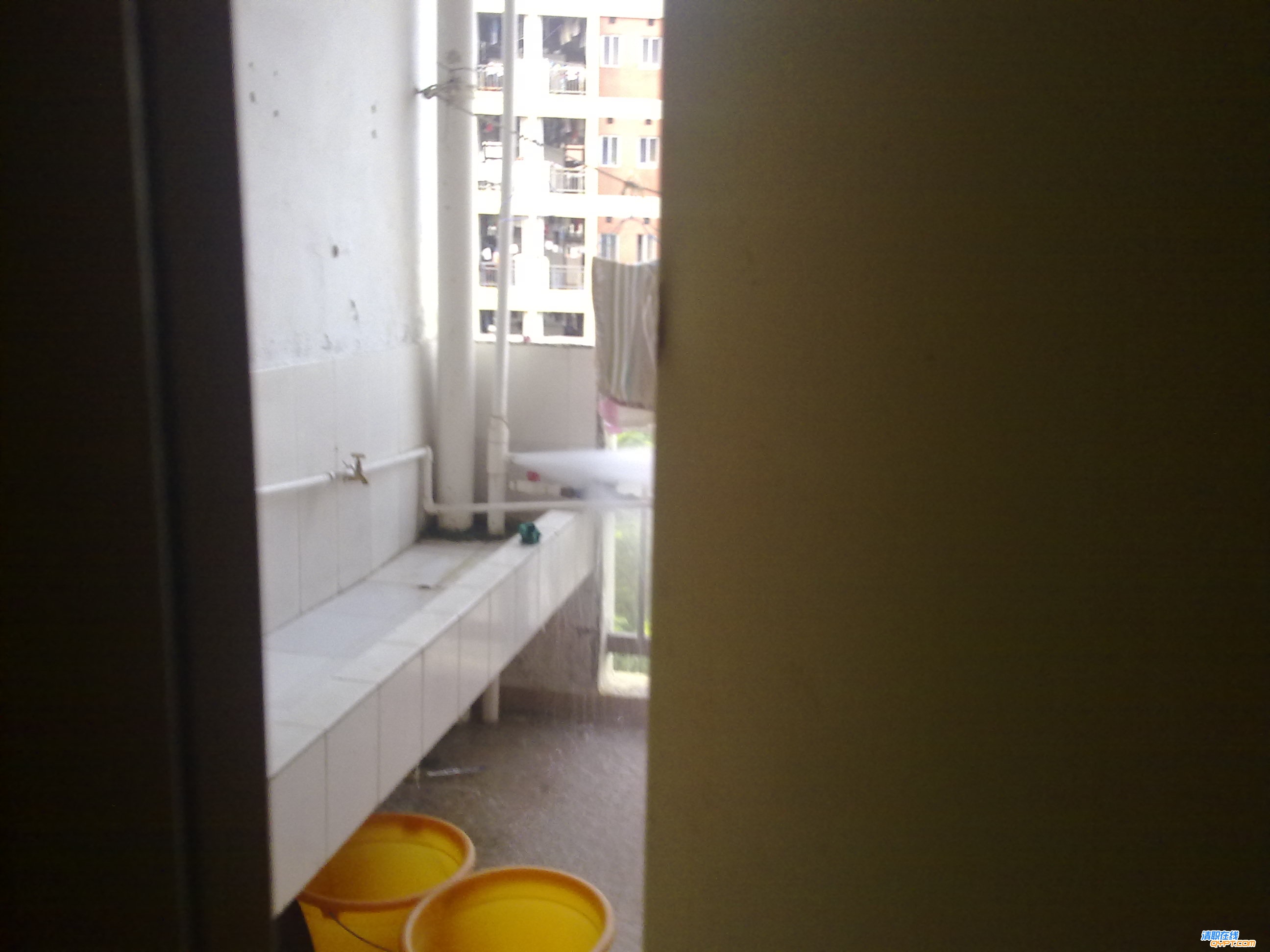 20101017044.jpg
