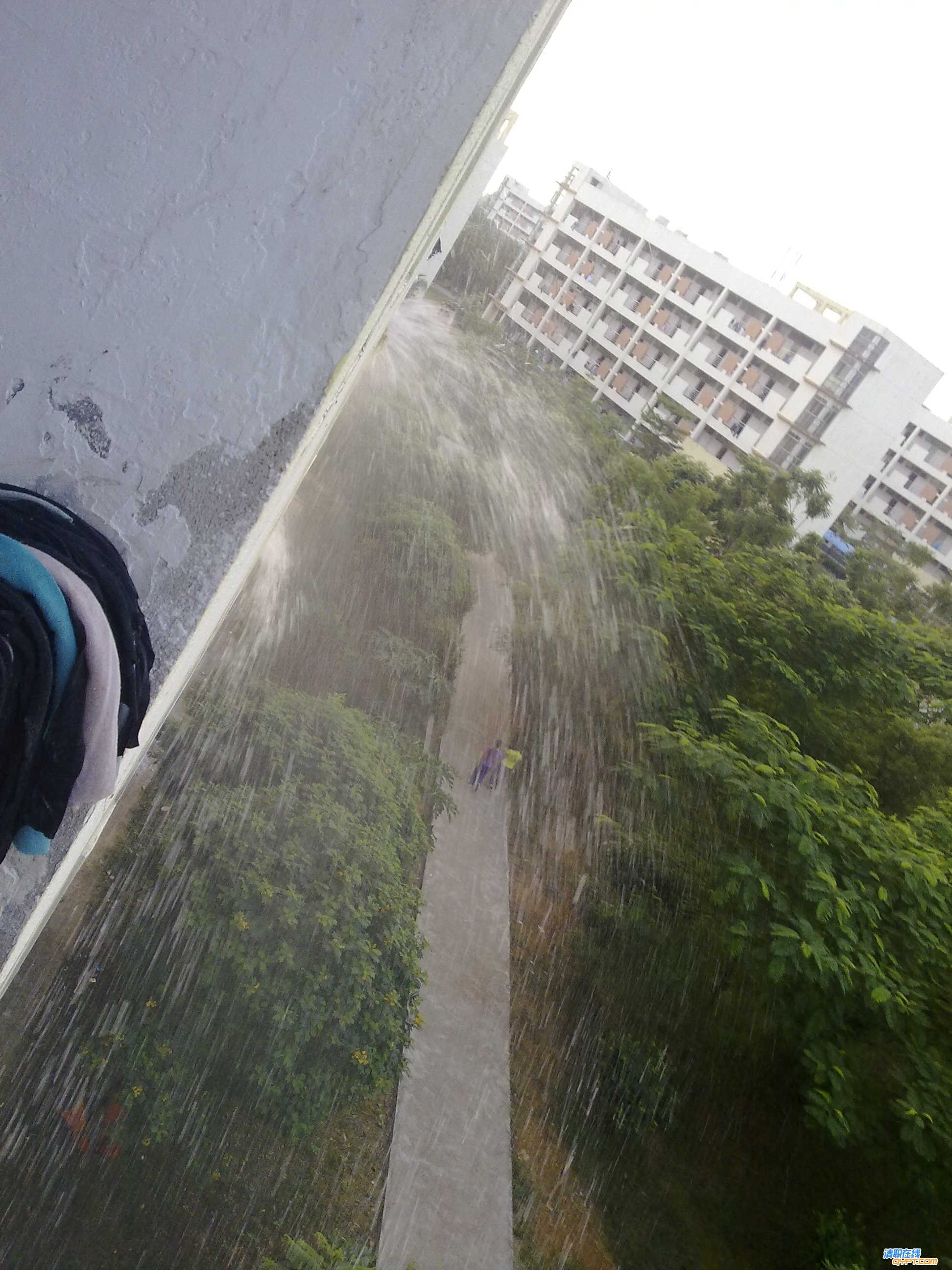 20101017048.jpg