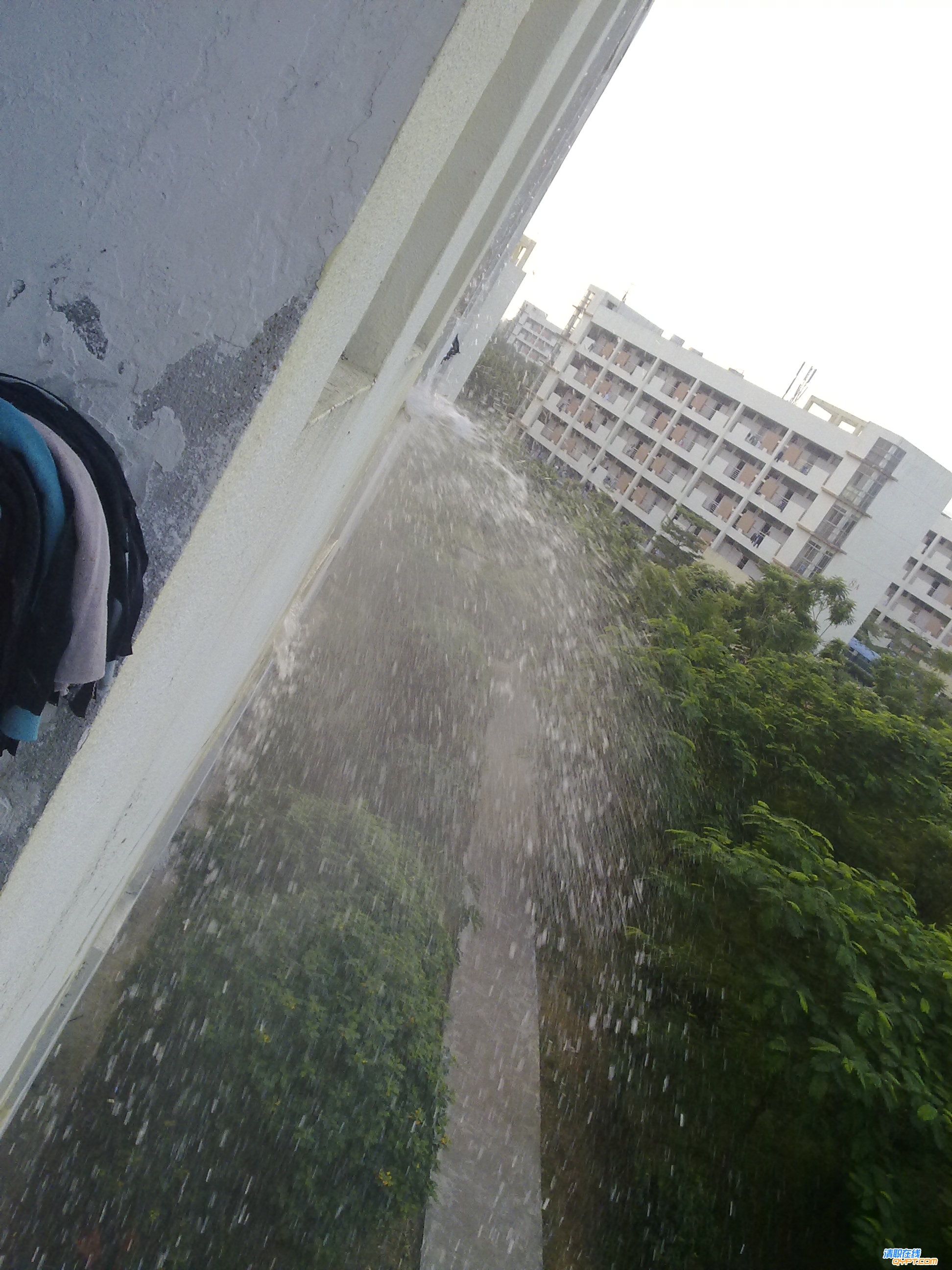 20101017047.jpg