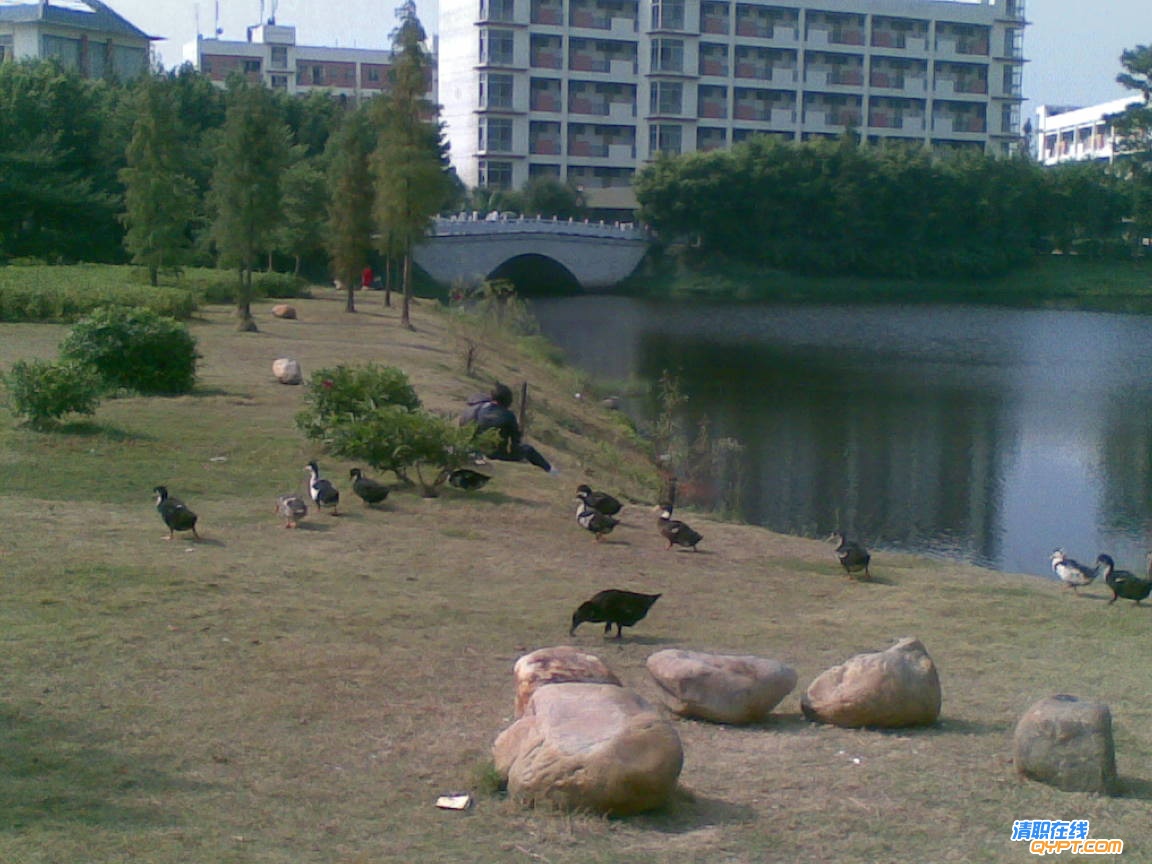 20101116(008).jpg