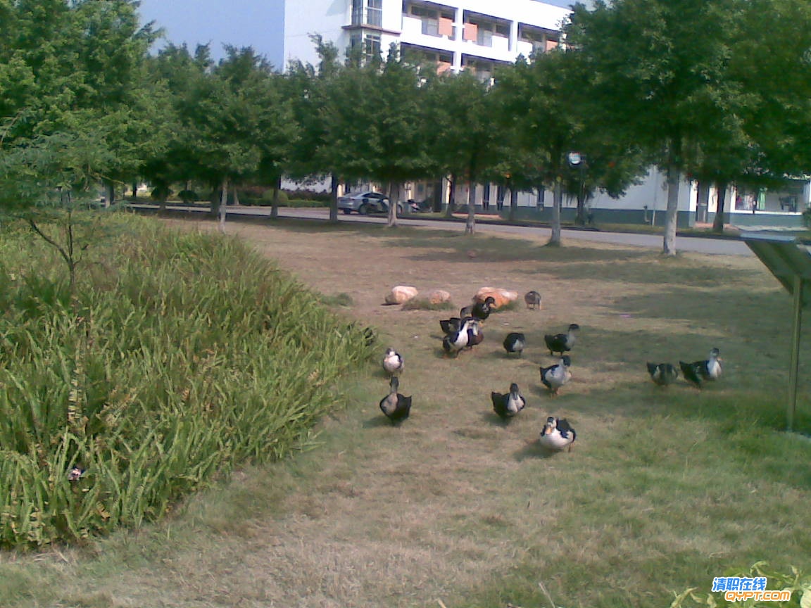 20101116(001).jpg