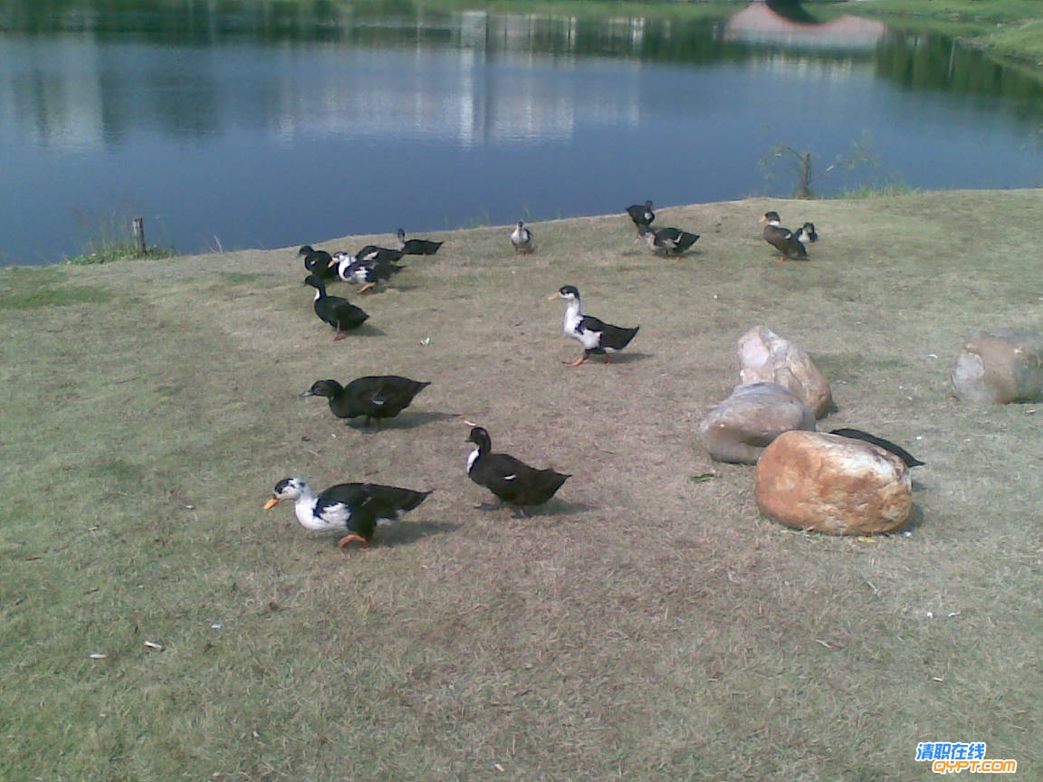 20101116(007).jpg